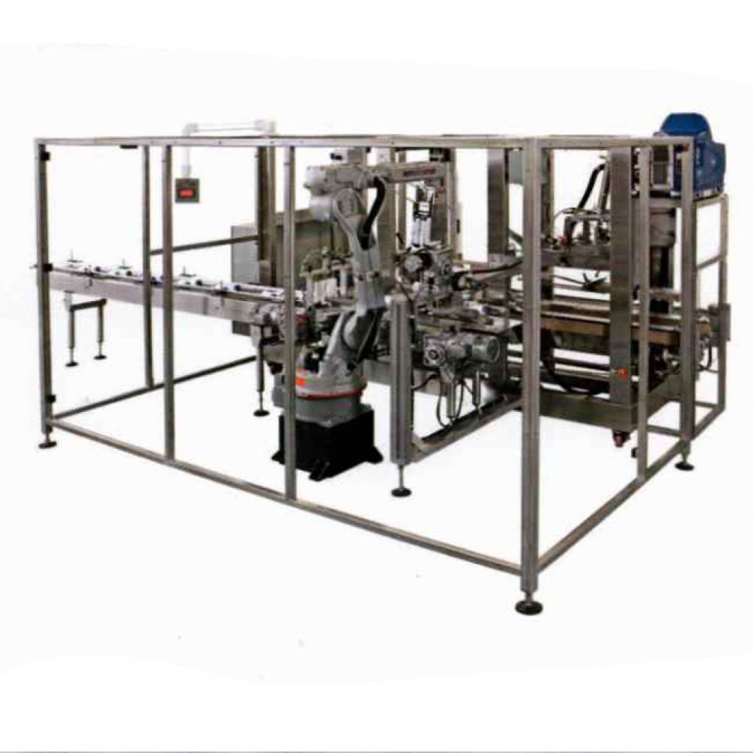 Case Packing System Case Packing System